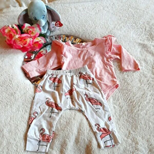 Baby Flamingo Pants & Ruffle Bodysuit 6-9M